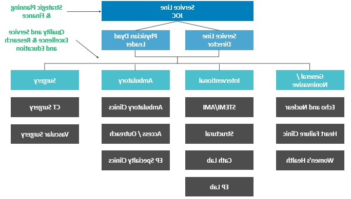 临床一体化云顶集团线治理模式